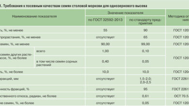 Photo of 1. Улучшение питания
